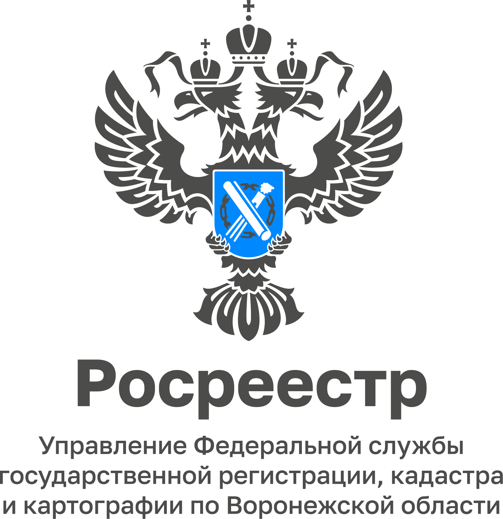 Лого Основное 1 Воронежская область
